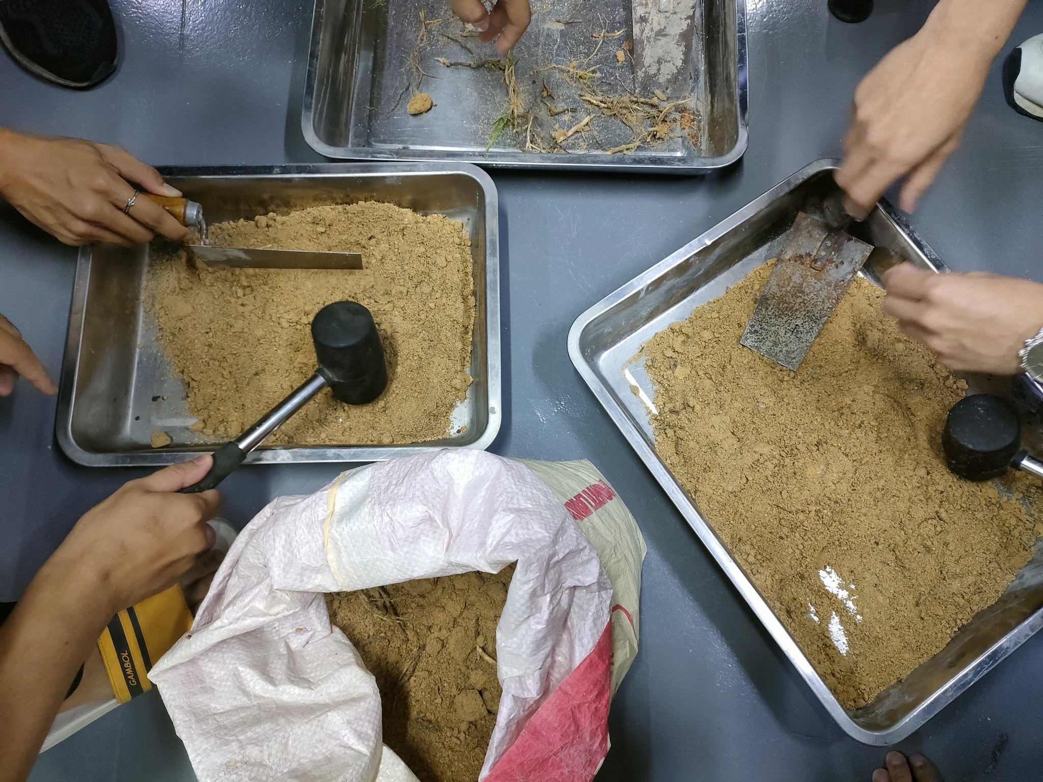 475788042 122209761128037337 8009101332284589043 n