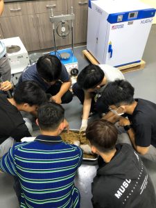 476359980 122210438624037337 5498014716015024256 n