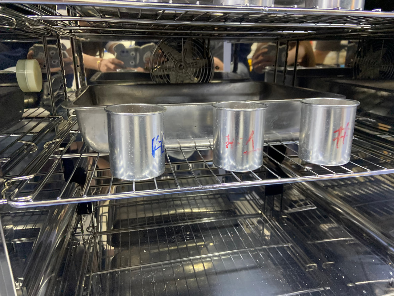 506491934 122237721782037337 26160309099513675 n