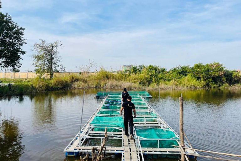 474518710_122207786822037337_1367032109798025789_n